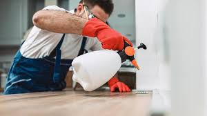 Real Estate Pest Inspections in Fairmont, MN